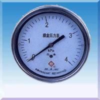 YE150-B不锈钢膜盒压力表 样本参数、产品图片与专业选型指南